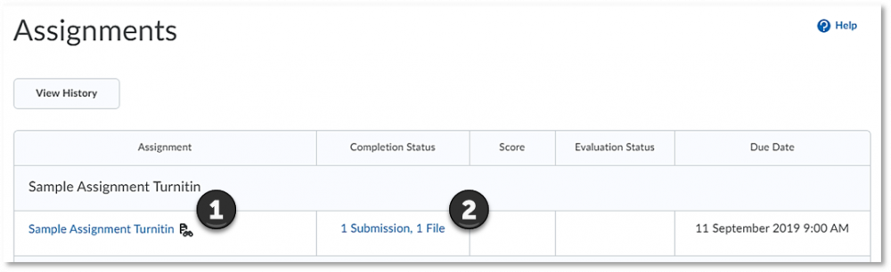 Assignment prompt and completion status